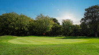 Golf green with red flag, surrounded by trees under a bright blue sky.