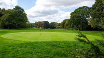 A golf green with a flagstick, surrounded by trees and grass under a partly cloudy sky.