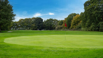 A golf green with a flagstick, surrounded by trees and grass under a partly cloudy sky.