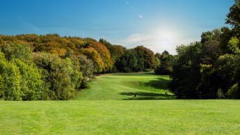 Green golf course fairway with trees in the background under a clear blue sky and bright sun.