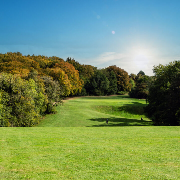 Green golf course fairway with trees in the background under a clear blue sky and bright sun.