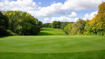 Golf course green with a red flag, surrounded by trees under a blue sky with clouds.