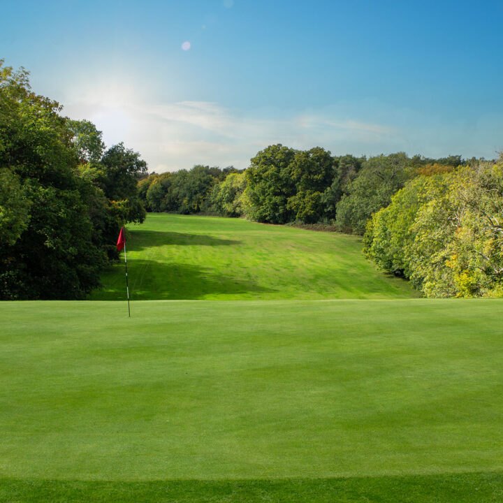Golf course with green grass, a red flag, trees on both sides, and blue sky above.