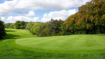 A golf course green with a flag, surrounded by trees under a partly cloudy sky.