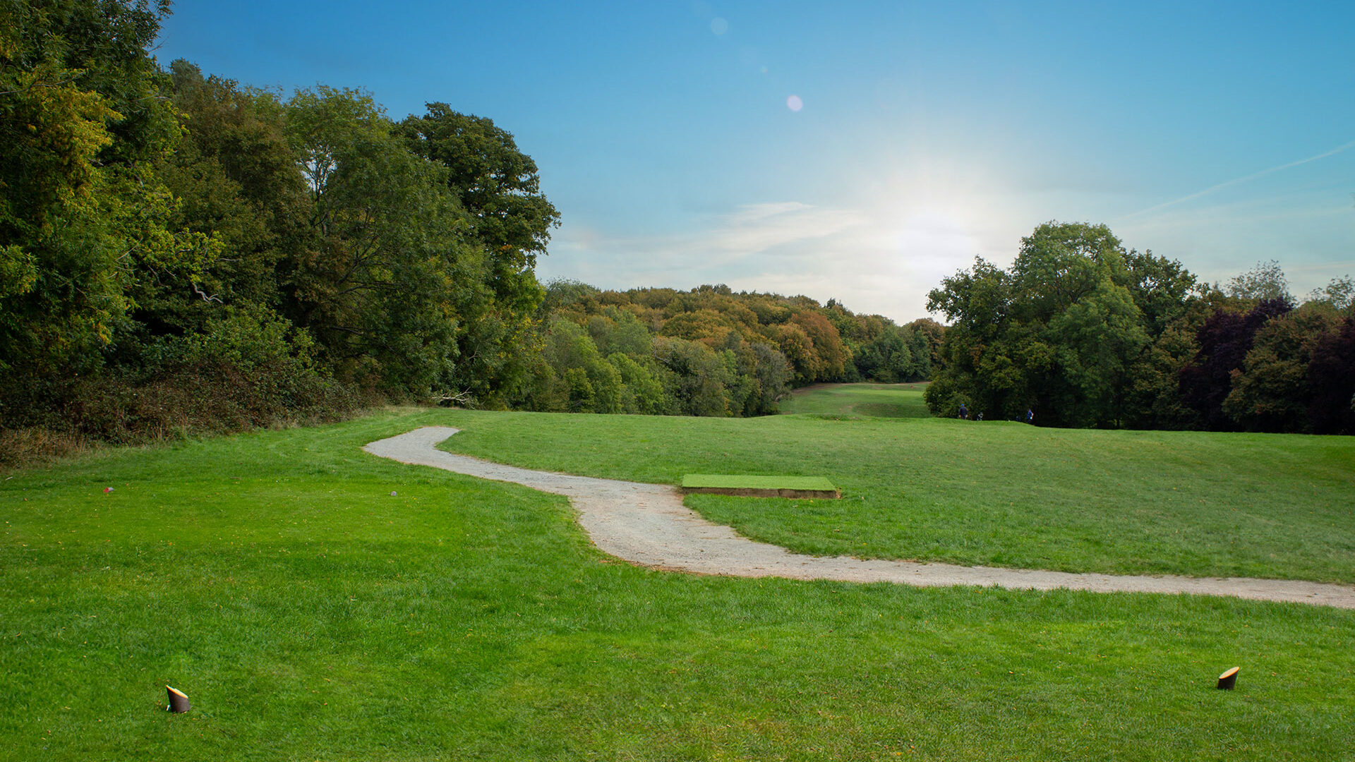 A winding path through green tee box and trees under a clear blue sky with the sun shining.