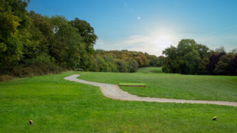 A winding path through green tee box and trees under a clear blue sky with the sun shining.