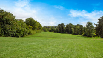 Sunny green field with trees in the background under a blue sky with scattered clouds.