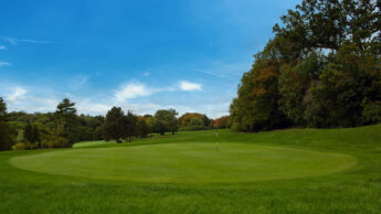 A golf green with a flagstick, surrounded by trees under a blue sky.
