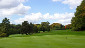 A golf green with a flag, surrounded by trees under a partly cloudy sky.
