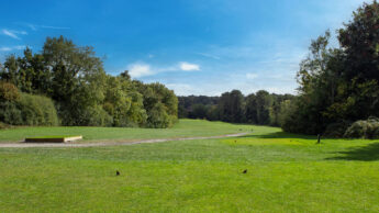 A sunny golf course tee area surrounded by trees and a clear blue sky.