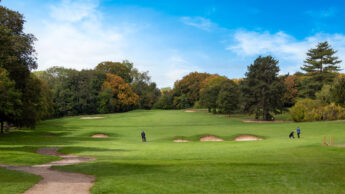 People playing golf on a lush green course with sand bunkers and trees under a blue sky.