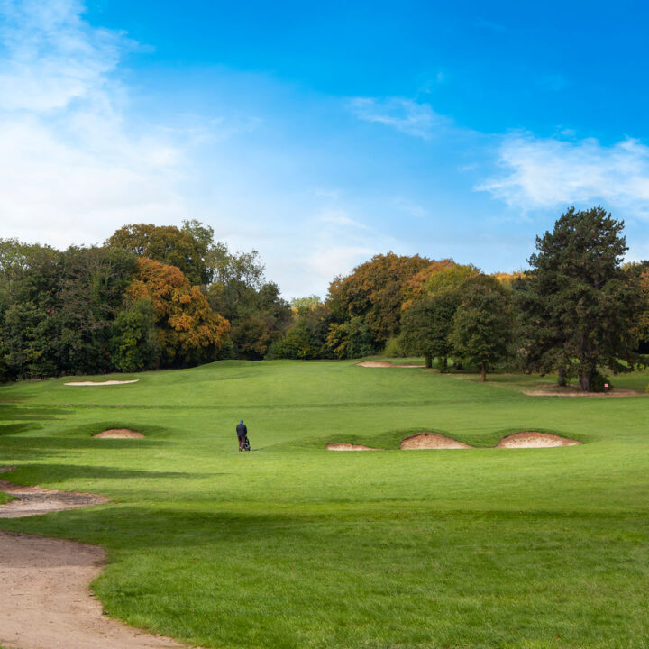 People playing golf on a lush green course with sand bunkers and trees under a blue sky.