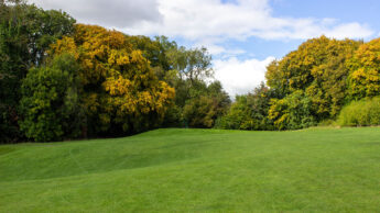 Green golf hole with trees, some showing yellow leaves, under a partly cloudy sky.