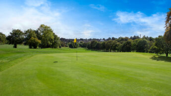 A golf course green with a flagstick, surrounded by trees under a bright blue sky.