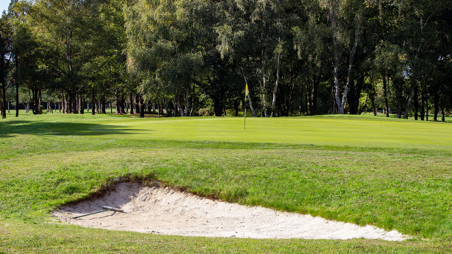 Downshire Golf Complex Hole 1 Green