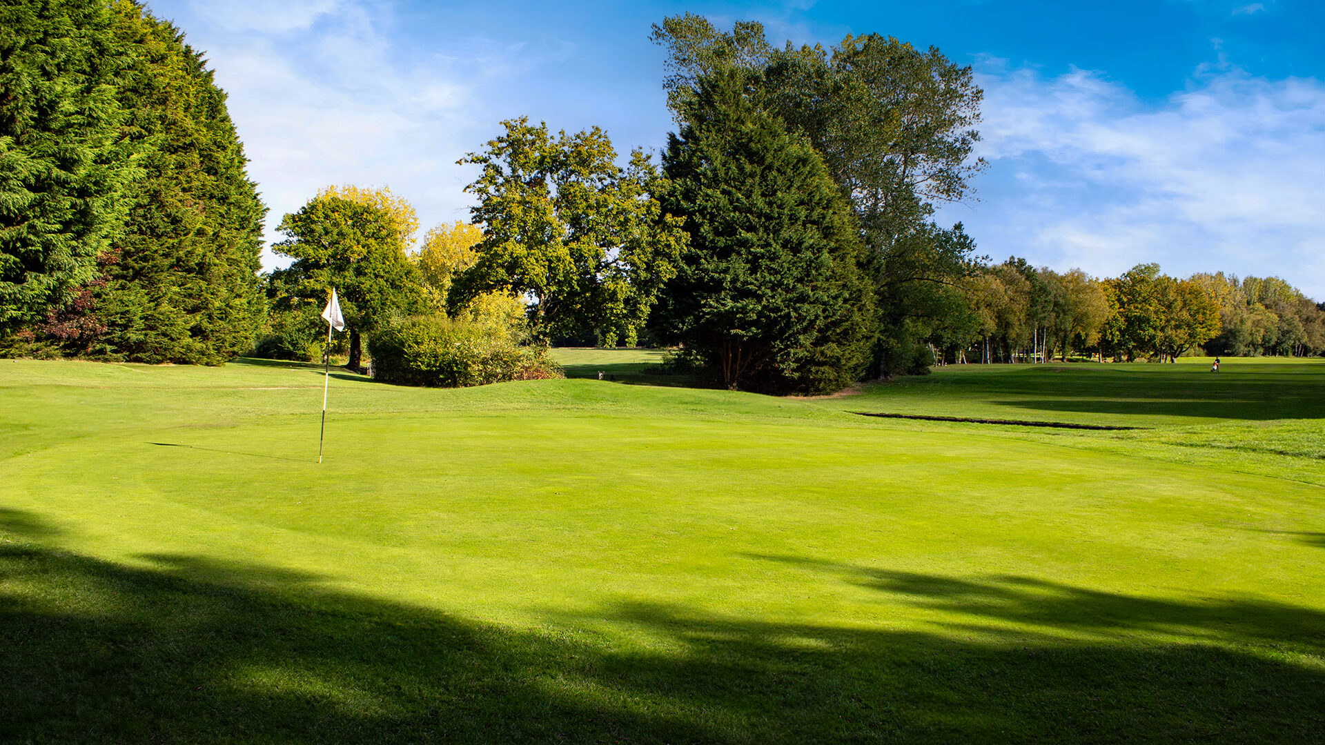 Downshire Golf Complex Hole 10 Green