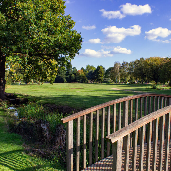 Downshire Golf Complex Hole 11 Fairway