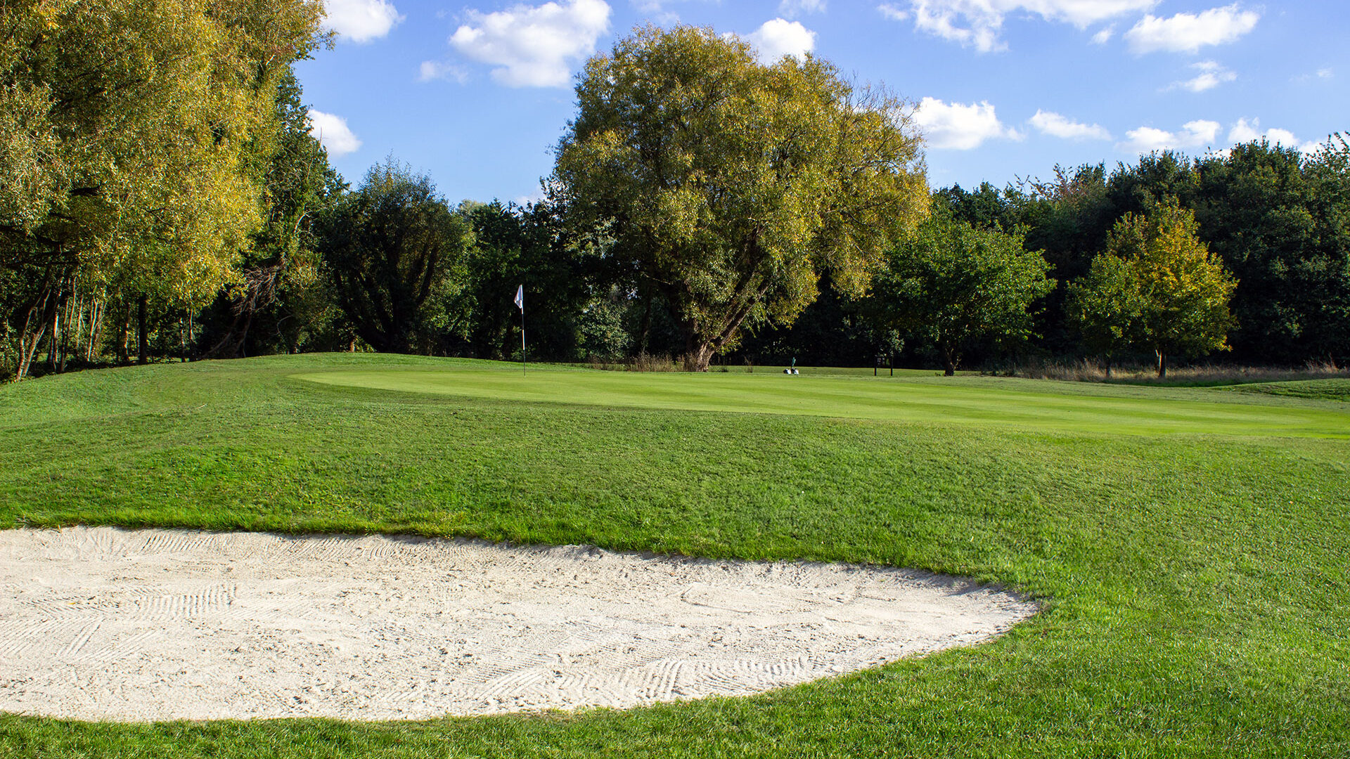 Downshire Golf Complex Hole 11 Green