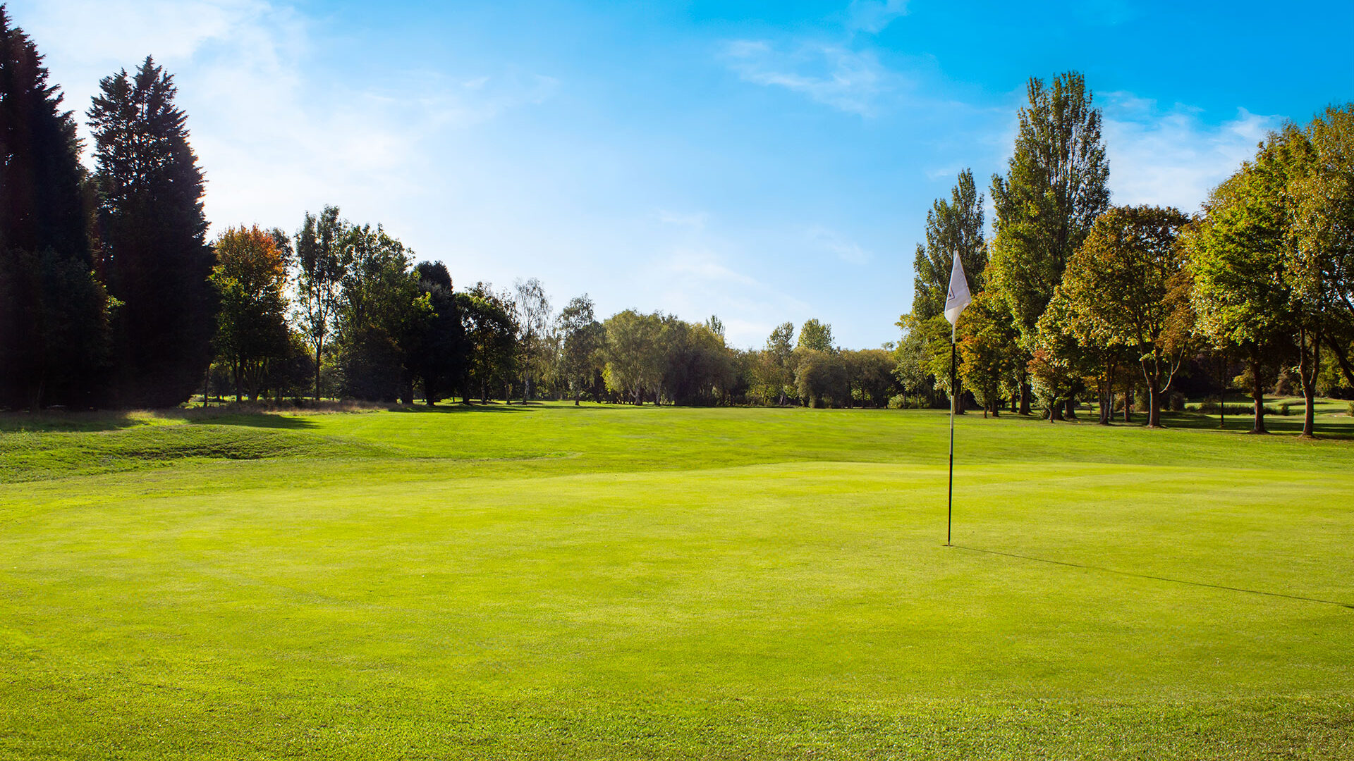 Downshire Golf Complex Hole 11 Green