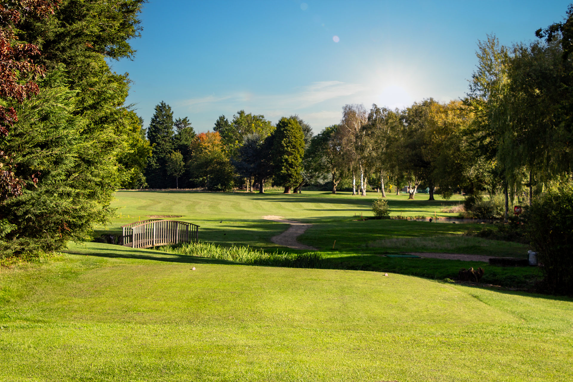 Downshire Golf Complex Hole 11 Tee