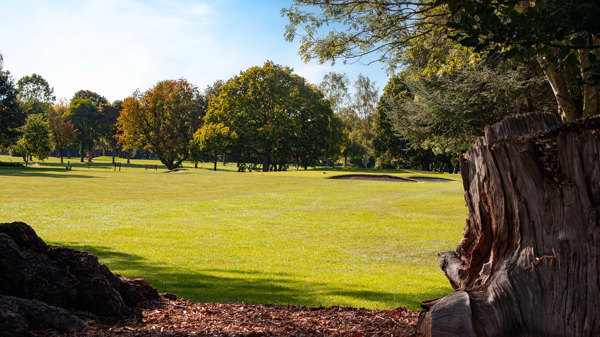Downshire Golf Complex Hole 12 Fairway