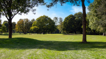 Downshire Golf Complex Hole 12 Fairway
