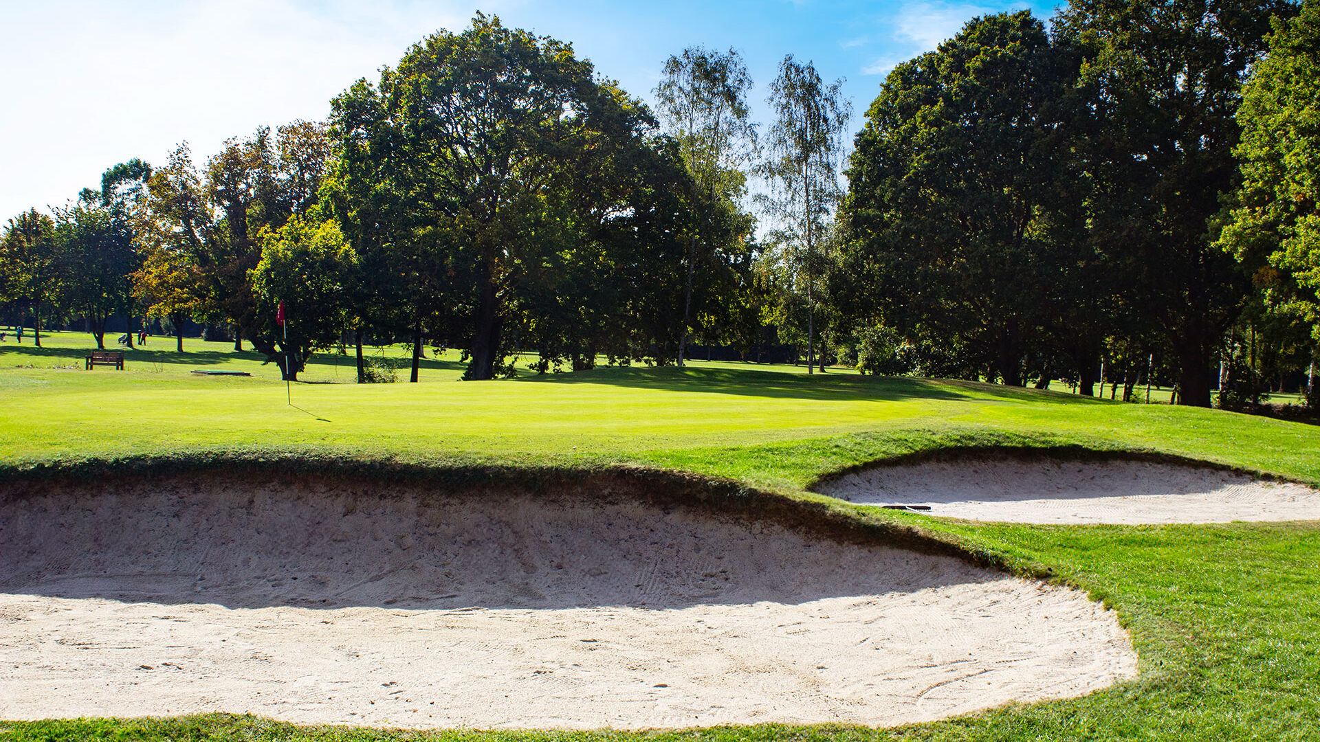 Downshire Golf Complex Hole 12 Green