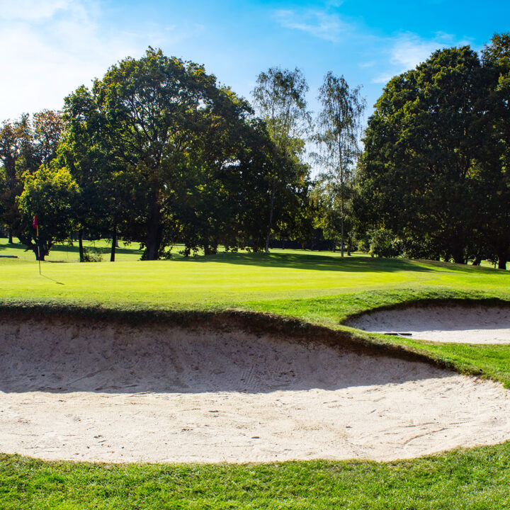 Downshire Golf Complex Hole 12 Green