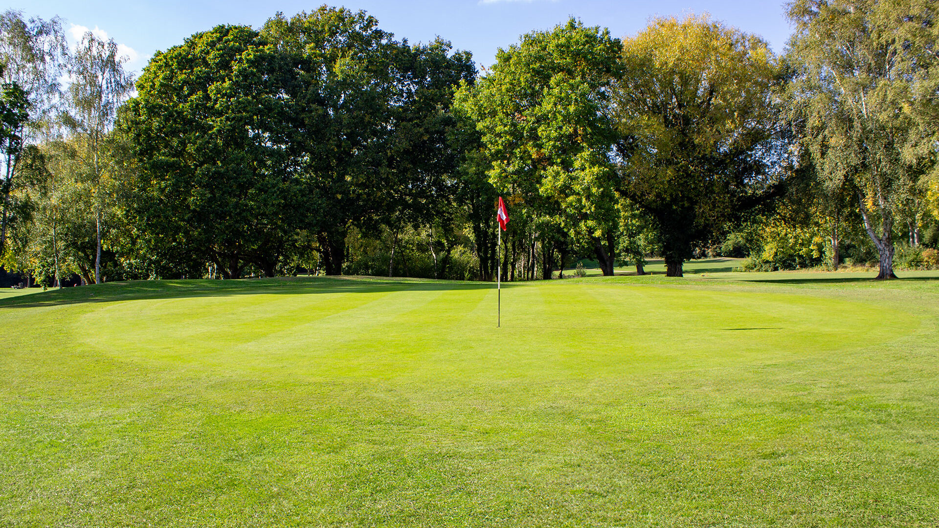 Downshire Golf Complex Hole 12 Green