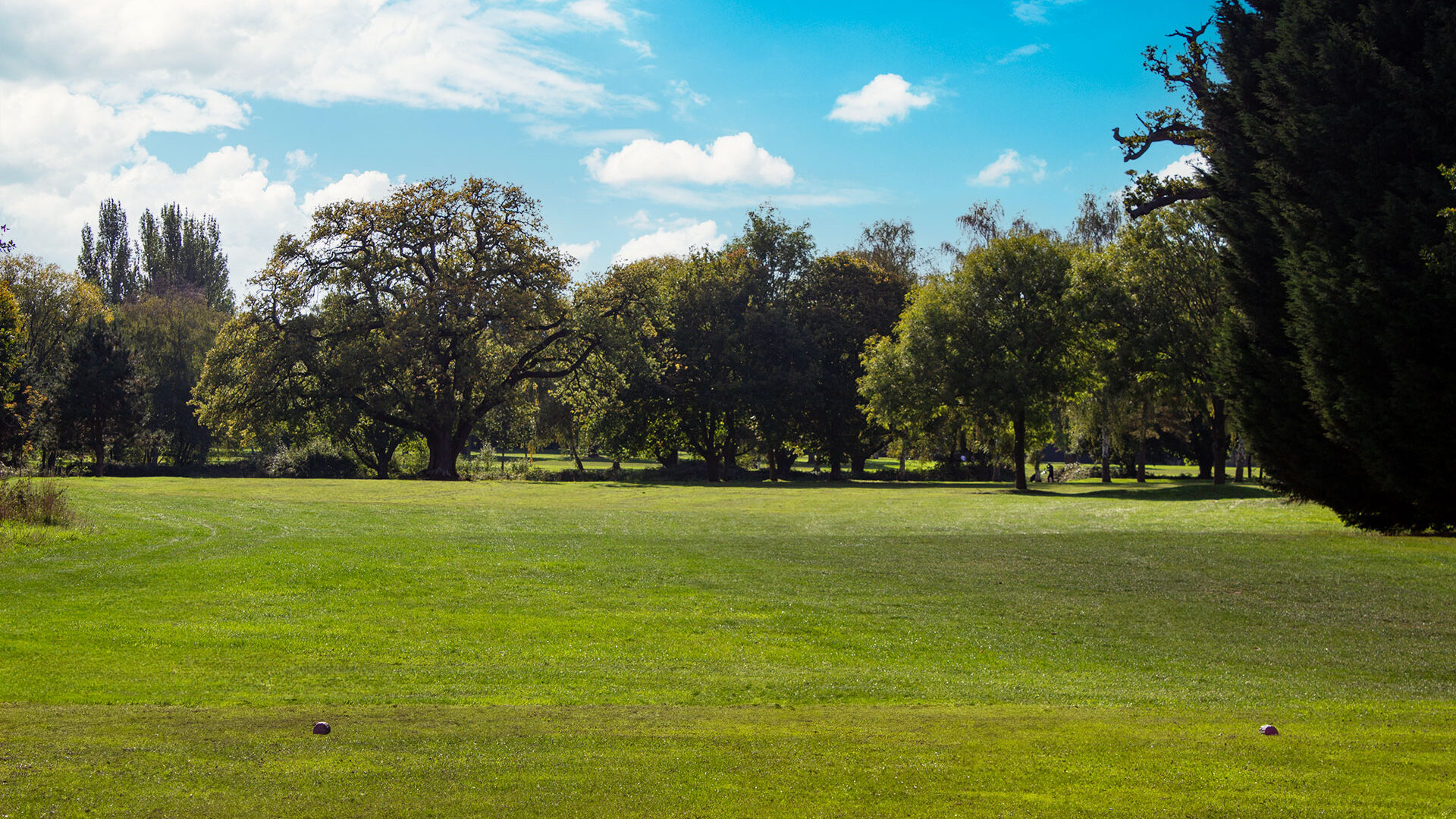 Downshire Golf Complex Hole 12 Tee