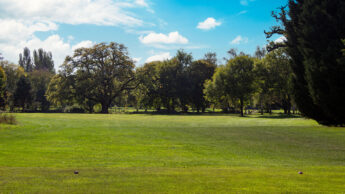 Downshire Golf Complex Hole 12 Tee