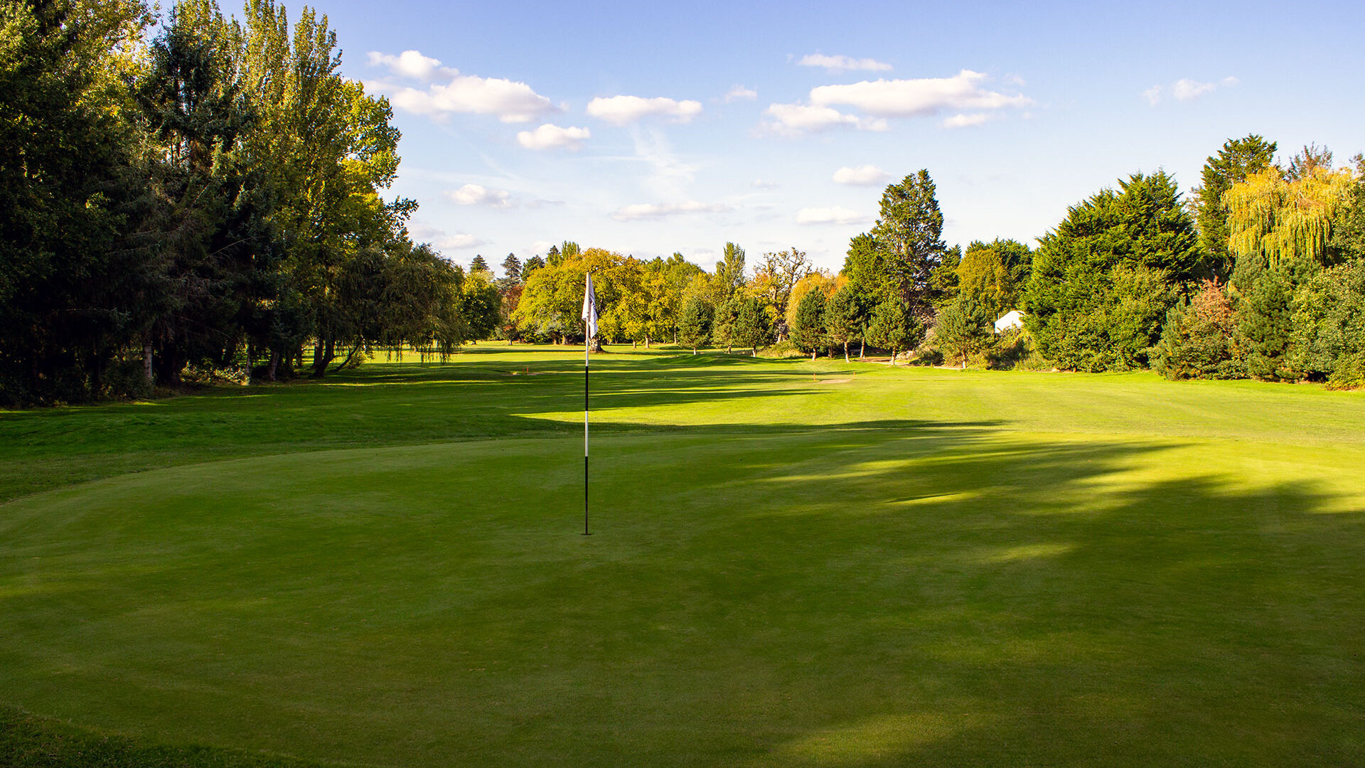 Downshire Golf Complex Hole 13 Green
