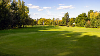 Downshire Golf Complex Hole 13 Green