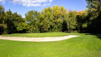 Downshire Golf Complex Hole 14 Green