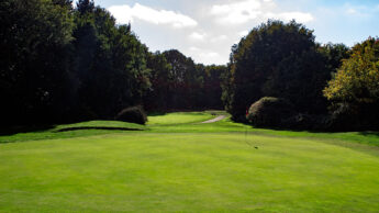 Downshire Golf Complex Hole 14 Green