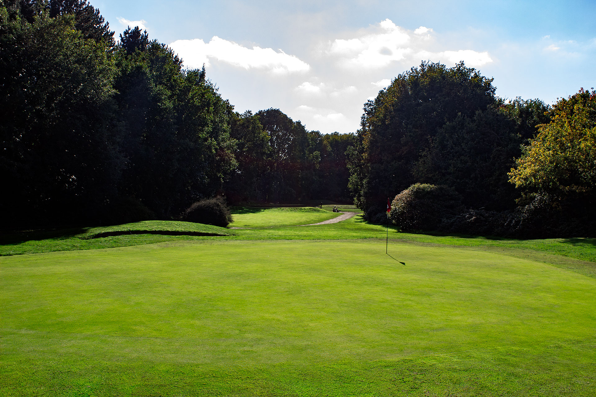 Downshire Golf Complex Hole 14 Green