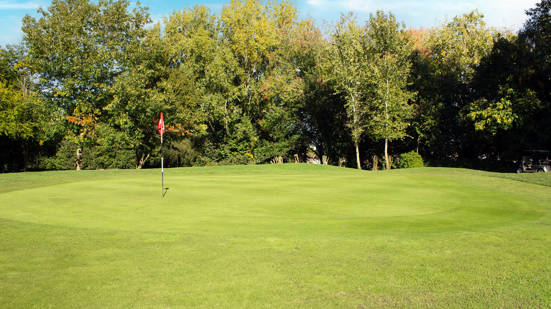 Downshire Golf Complex Hole 14 Green