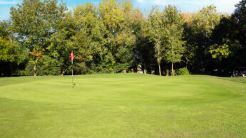 Downshire Golf Complex Hole 14 Green