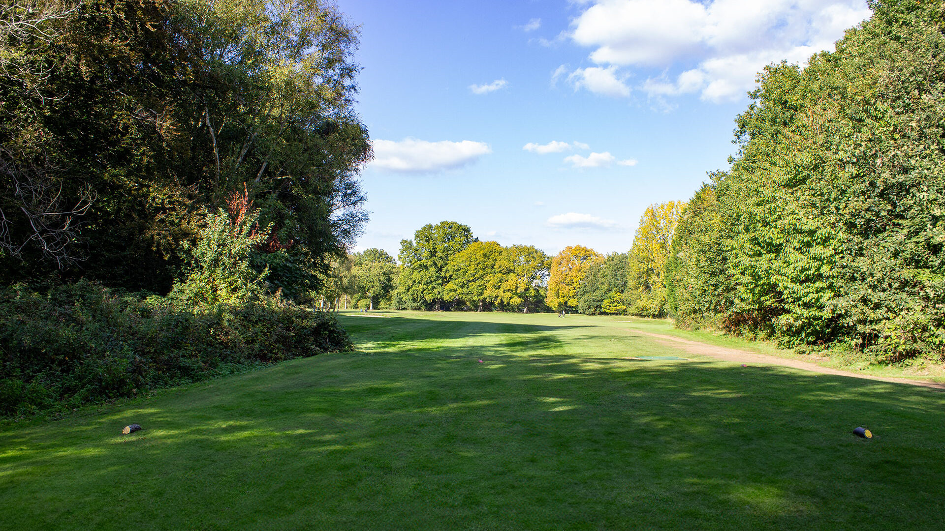 Downshire Golf Complex Hole 15 Tee