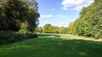 Downshire Golf Complex Hole 15 Tee
