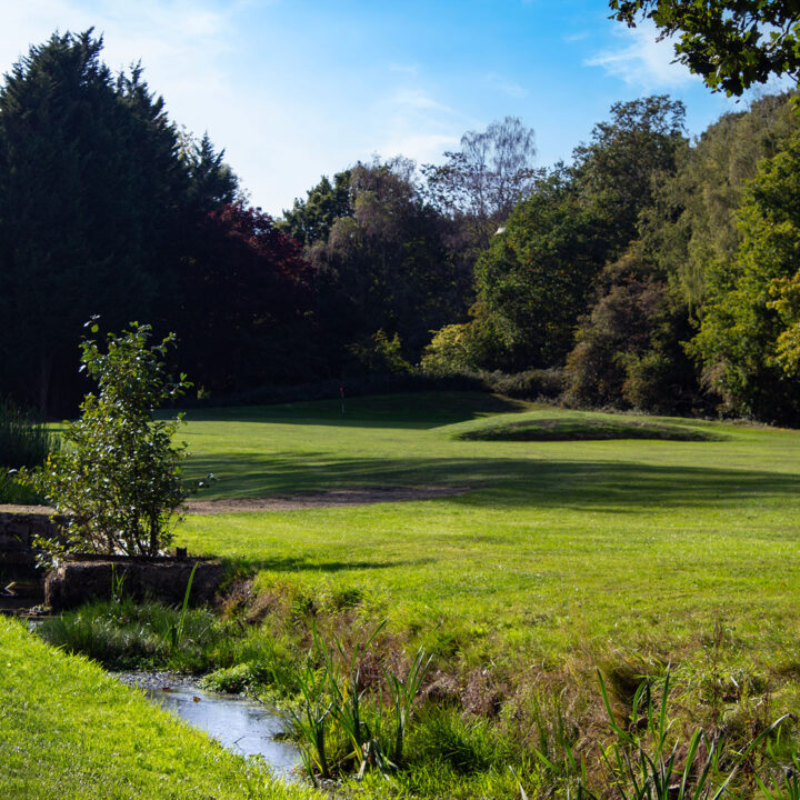 Downshire Golf Complex Hole 16 Fairway