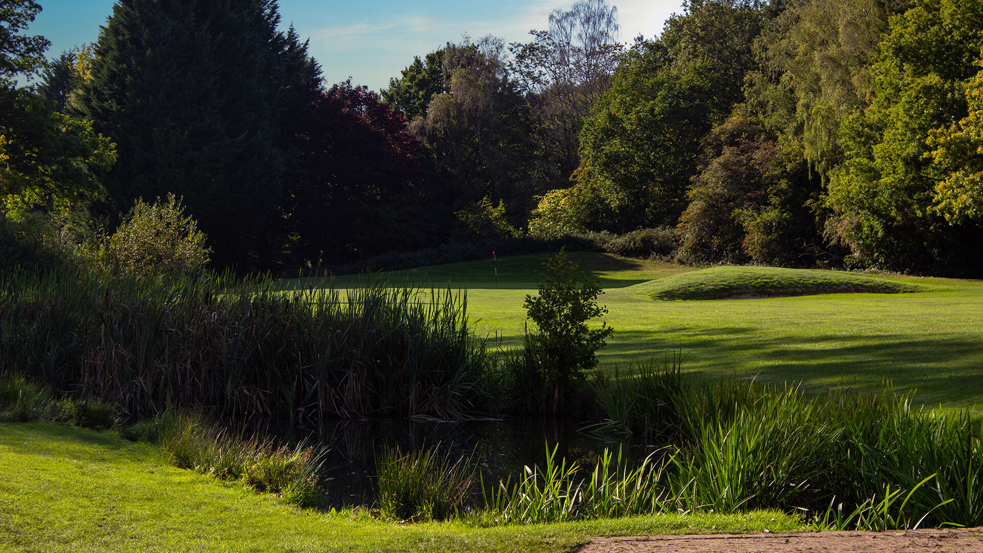 Downshire Golf Complex Hole 16 Fairway