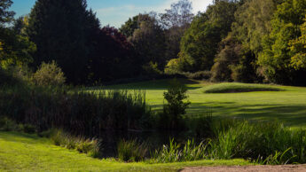 Downshire Golf Complex Hole 16 Fairway