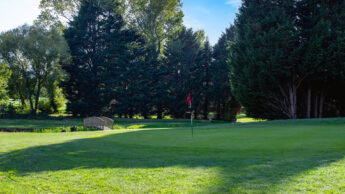 Downshire Golf Complex Hole 16 Green