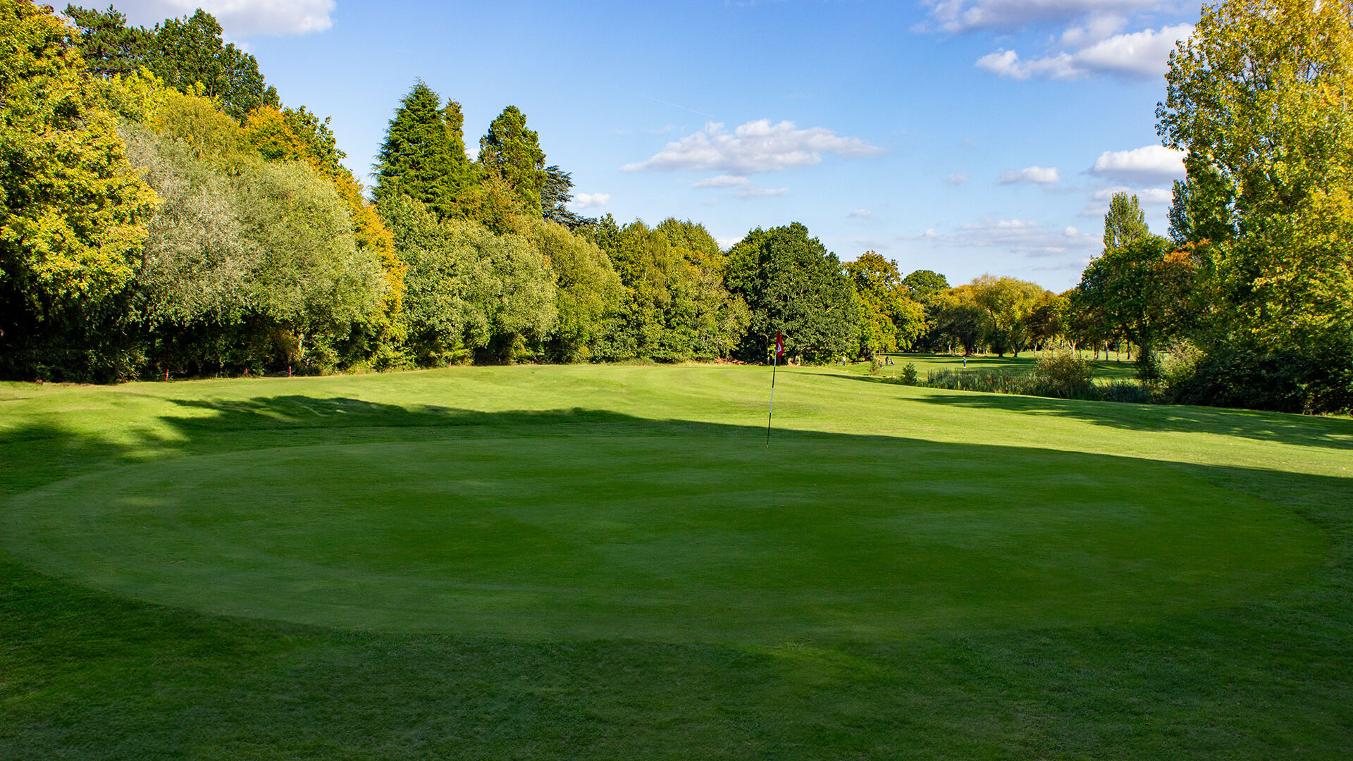 Downshire Golf Complex Hole 16 Green