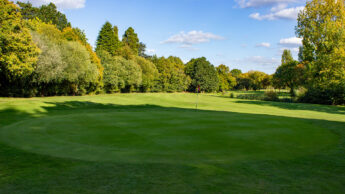 Downshire Golf Complex Hole 16 Green