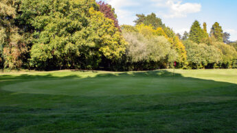 Downshire Golf Complex Hole 16 Green