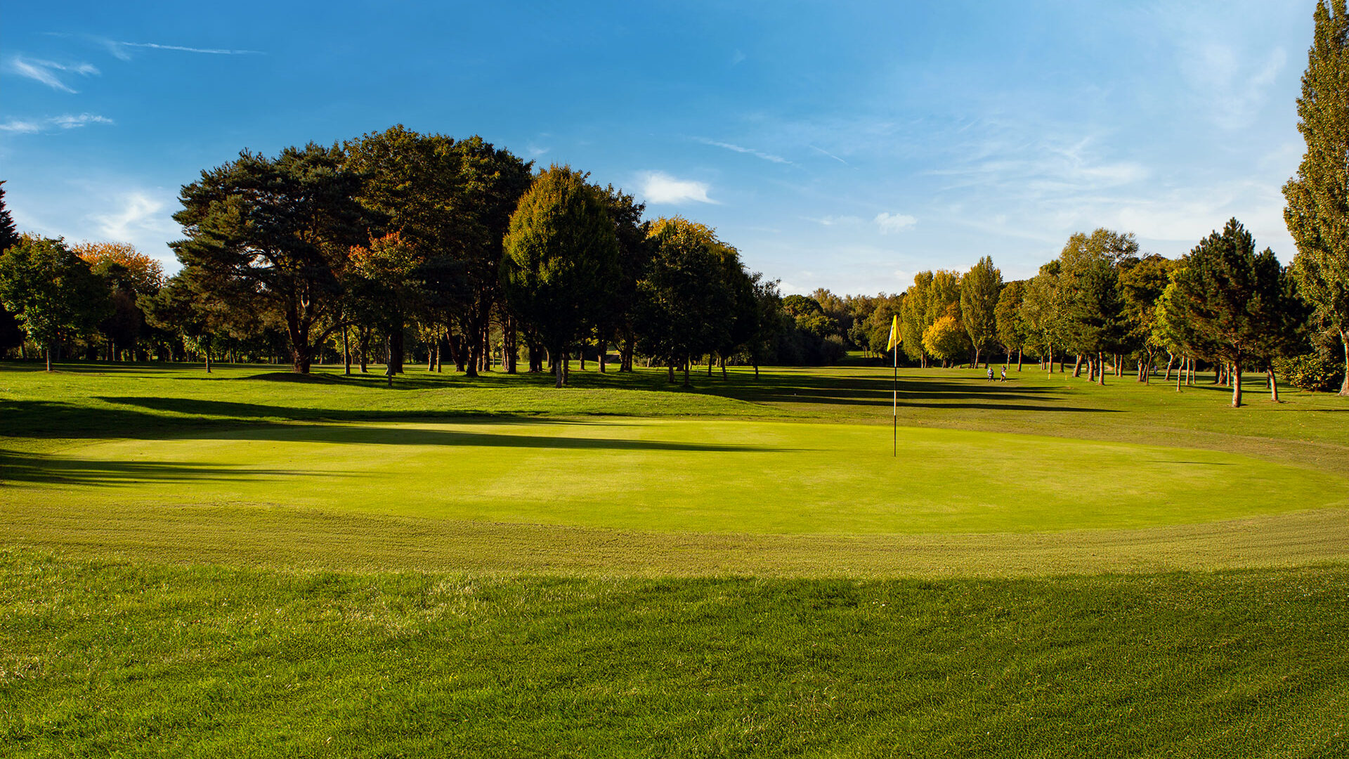 Downshire Golf Complex Hole 18 Green