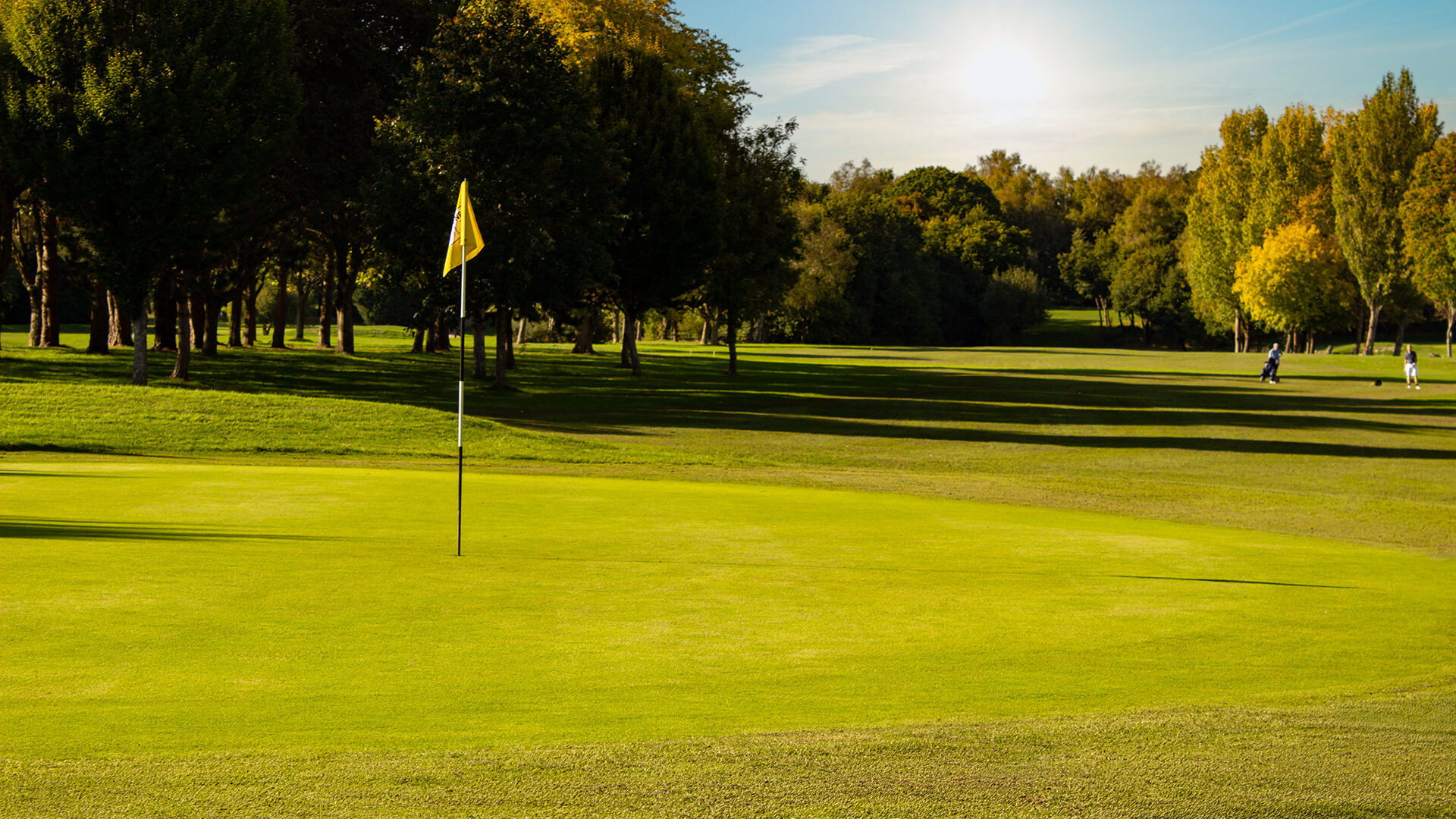 Downshire Golf Complex Hole 18 Green
