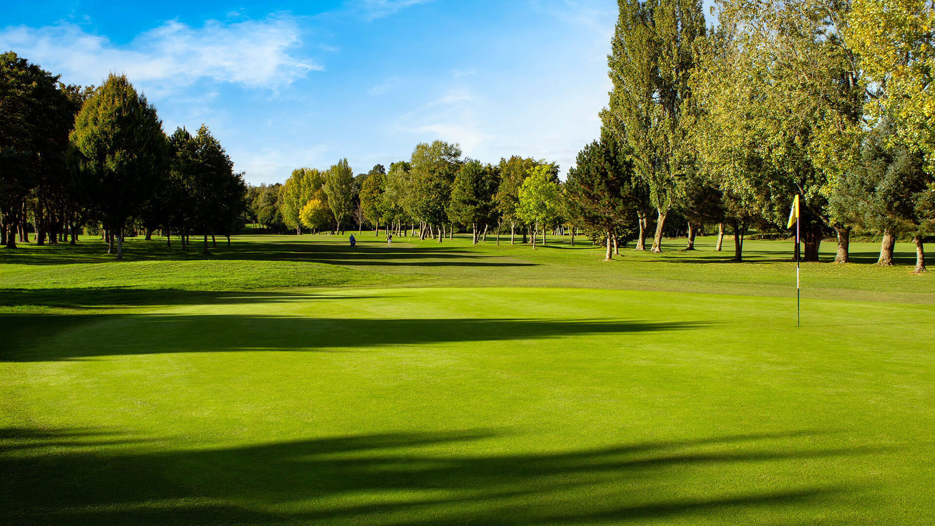 Downshire Golf Complex Hole 18 Green